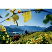 Virtuelle Reise best of Italy virtuelles Event Italiens herrliche Natur