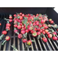 Vegetarischer Workshop