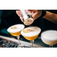 Gin-Cocktails Webinar – Mixen