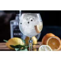 Gin-Tasting München – Gin Tonic mit Zitrone