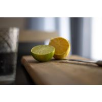 Gin-Tasting München – Zitrone, Limette