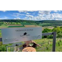 Trüffel Verkostung Würzburg wo kann man den besten Trüffel kaufen