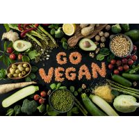 veganer Kochkurs Dresden – go vegan