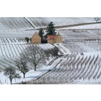 Weinwanderung online Winter