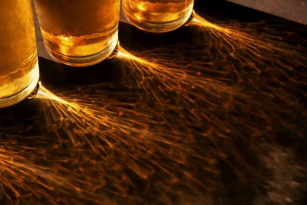 Bier-Tasting Landshut – Licht fällt durch Biergläser