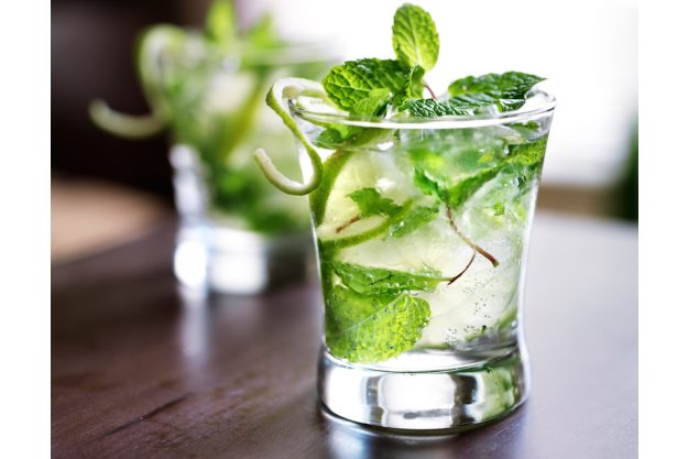 Cocktailkurs Berlin - kleiner Mojito