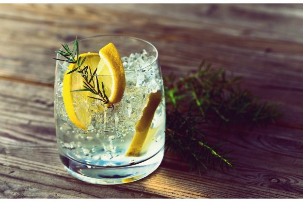 Cocktailkurs Frankfurt - Gin Tonic