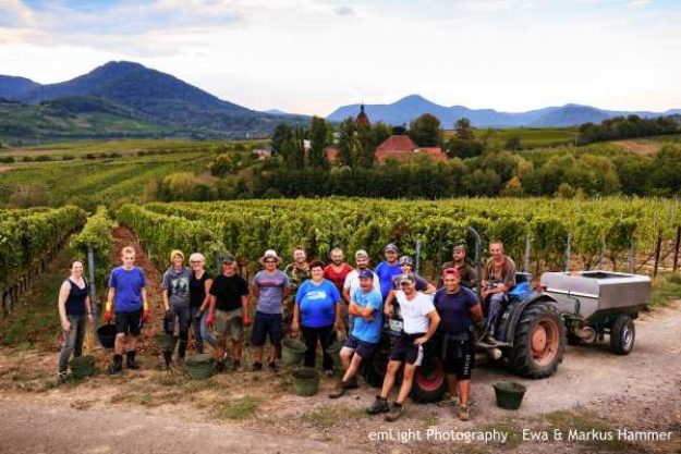 Weinwanderung online mit Essen die Crew