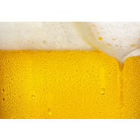 Braukurs Landshut – helles Bier mit Schaumkrone