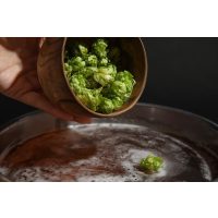 Braukurs Landshut – Zeit für die Hopfengabe