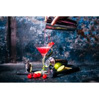 Cocktailkurs Regensburg - Sours modern interpretiert