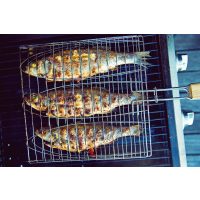 Tag am Meer - Fisch am Grill