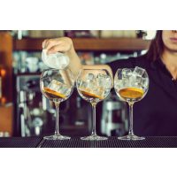 Gin-Tasting in Regensburg - Gin Botanicals