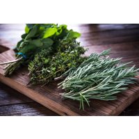 Kochkurs Stuttgart – Kräuter auf Holzbrett