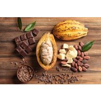 Virtuelle Reise Mexiko SChokolade