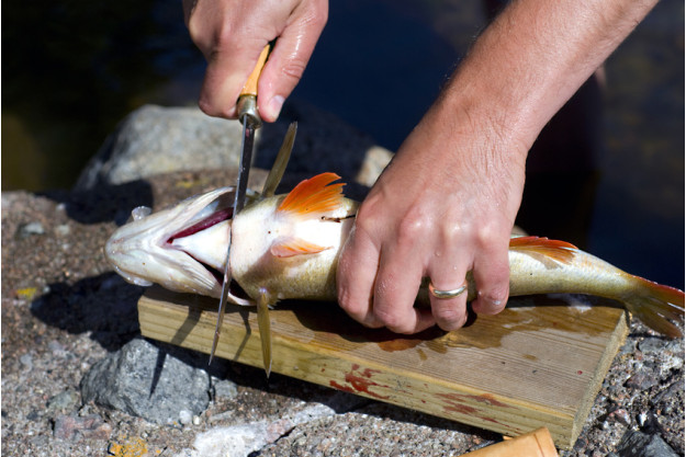 Männer-Kochkurs Dresden – Schneiden