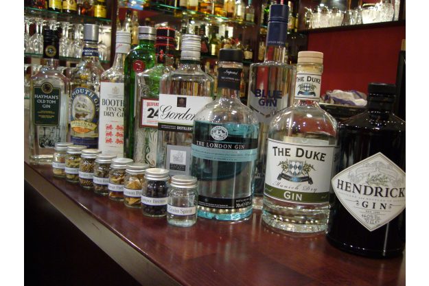 Gin-Tasting Frankfurt-Hofheim  Gin Tonics ohne Ende