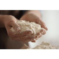 Backkurs Augsburg – Dinkelmehl