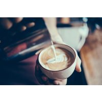 Barista Online Kurs Latte Art Farn auf den Kaffee zaubern