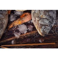 Geschenk-Gutschein-Kochkurs – Fisch-Kochkurse