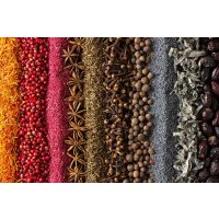 Gewürzseminar Dresden – Gewürze aus aller Welt