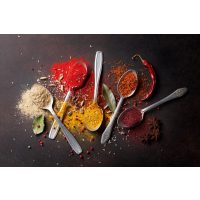 Gewürzseminar Dresden – Gewürze auf Löffeln