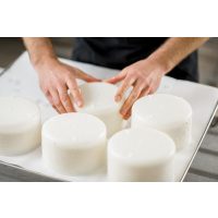 Käse selber machen Dresden – Käse formen