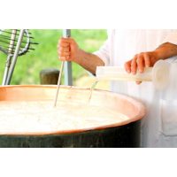 Käse selber machen Dresden – Käse Kessel