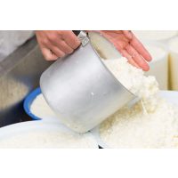 Käse selber machen Dresden – Käsemasse