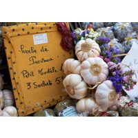 mediterraner Kochkurs Dresden – Mittelmeer genießen