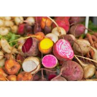 Saisonaler Kochkurs Dresden – Wurzelgemüse