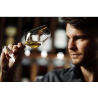Whisky Tasting Dresden - Farbe von Whiskysorten