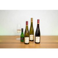 Weinwanderung online  – Weine