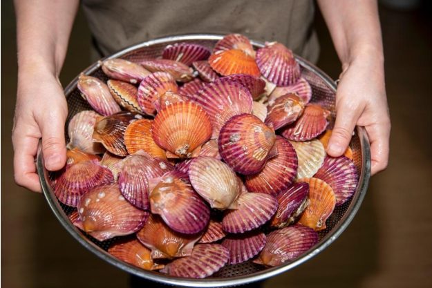 Fisch- und Meeresfrüchte Kochkurs Stuttgart – Jakobsmuscheln