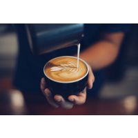 Barista-Kurs Berlin – Milchschaum