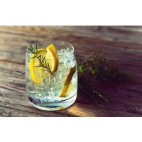 Cocktailkurs Frankfurt - Gin Tonic