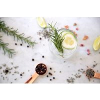 Gin-Tasting Ludwigsburg –Botanicals