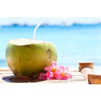 Vegetarischer Kochkurs Stuttgart - frische Kokosnuss am Meer