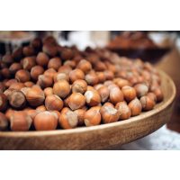 virtuelle Reise ins Piemont Haselnüsse