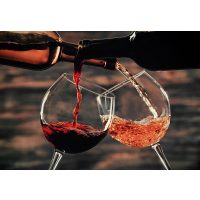 Wein-Tasting Hamburg – Rot- und Weißwein im Vergleich