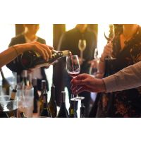 Weinprobe Ludwigsburg – zusammen Wein trinken