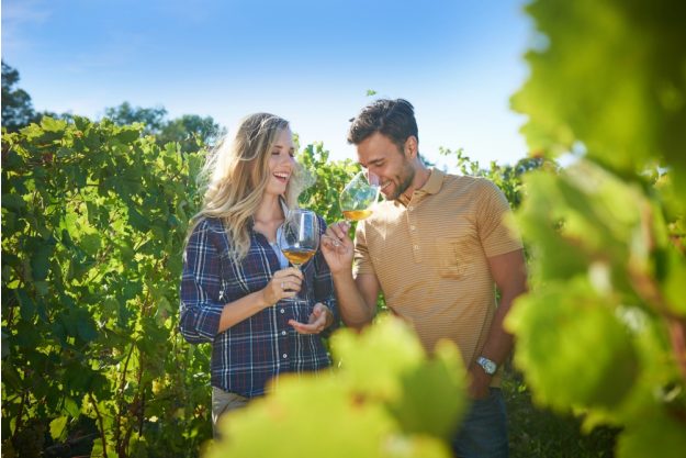 Virtuelle Reise nach Slowenien Pärchen im Weinber