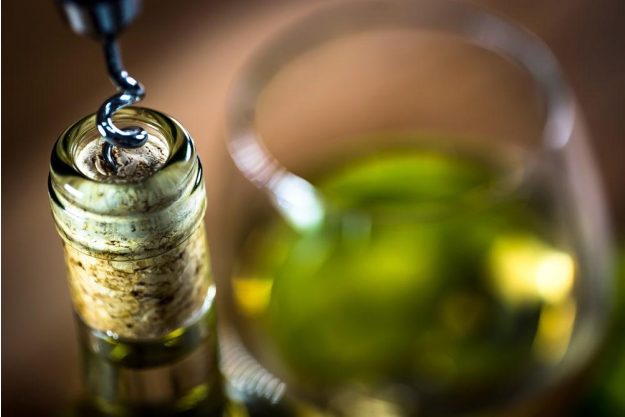 Wein-Tasting Hamburg – junger Weißwein