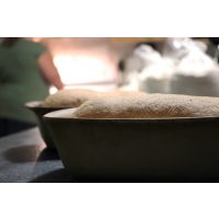 Backkurs Augsburg – Brotteig in Backformen