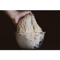 Backkurs Berlin: Arbeiten mit Sauerteig