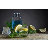 Gin-Tasting Frankfurt-Hofheim  Gin Tonics ohne Ende