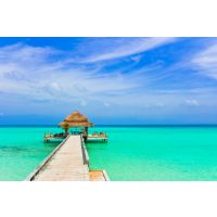 karibischer Kochkurs Berlin Karibiktraum