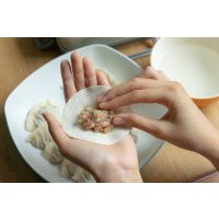 Online Kochkurs – Gyoza selber machen