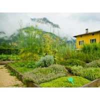 virtuelle Reise Südtirol Krätuergarten