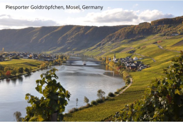 Wein Verstehen - Wein Genießen